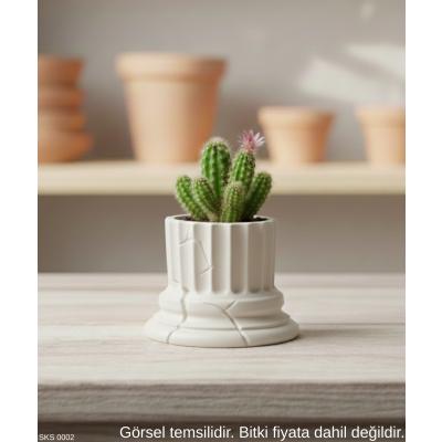 Beyaz Klasik Sütun Form Mini Dekoratif Saksı – 7 Cm Masaüstü & Ofis Dekoru