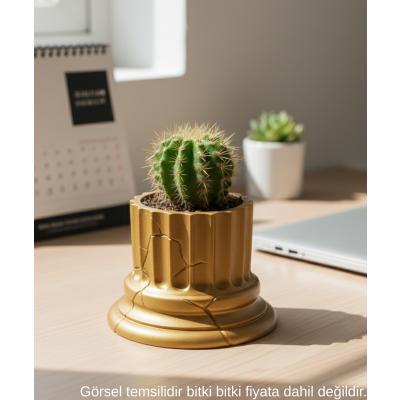 Gold Klasik Sütun Form Mini Dekoratif Saksi 7 Cm Masa Ustu Ofis Dekoru