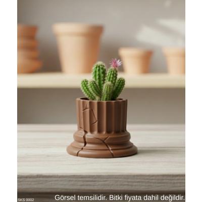 Kahverengi Klasik Sütun Form Mini Dekoratif Saksı 7 Cm Masa Ustu Ofis Dekoru