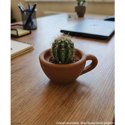 Kahverengi Mini Dekoratif Fincan Şeklinde Saksı – 6 Cm Masaüstü & Ofis Dekoru