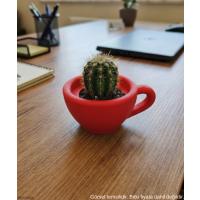 Kırmızı Mini Dekoratif Fincan Şeklinde Saksı – 6 Cm Masaüstü & Ofis Dekoru