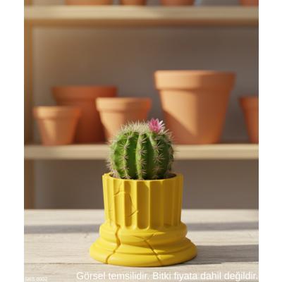 Sarı Klasik Sütun Form Mini Dekoratif Saksı 7 Cm Masa Ustu Ofis Dekoru