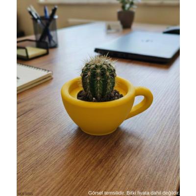 Sarı Mini Dekoratif Fincan Şeklinde Saksı – 6 Cm Masaüstü & Ofis Dekoru