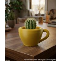 Sarı Mini Dekoratif Fincan Şeklinde Saksı – 6 Cm Masaüstü & Ofis Dekoru