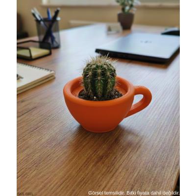 Turuncu Mini Dekoratif Fincan Şeklinde Saksı – 6 Cm Masaüstü & Ofis Dekoru