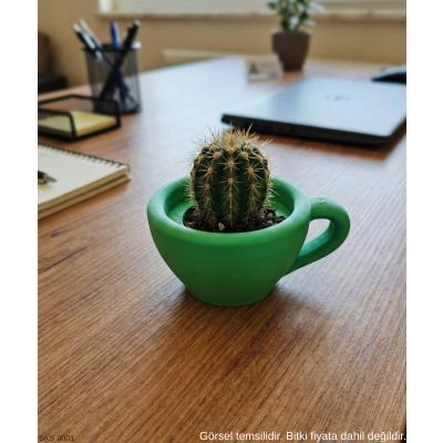 Yeşil Mini Dekoratif Fincan Şeklinde Saksı – 6 Cm Masaüstü & Ofis Dekoru