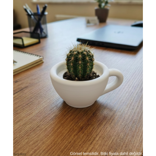 Beyaz Mini Dekoratif Fincan Şeklinde Saksı 6 Cm Masa Üstü Ofis Ev Dekoru