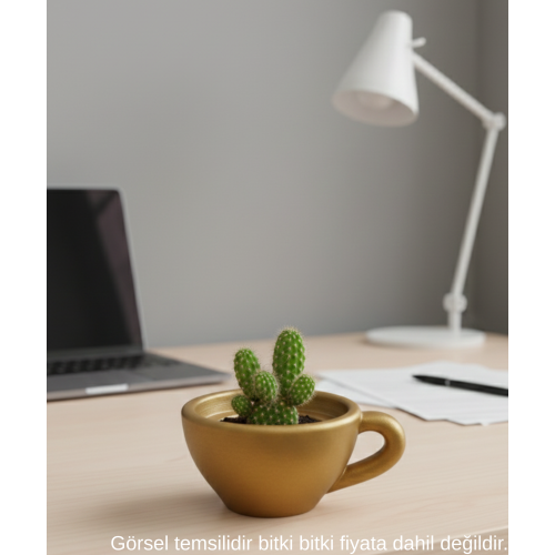 Gold Mini Dekoratif Fincan Şeklinde Saksı – 6 Cm Masaüstü & Ofis Dekoru