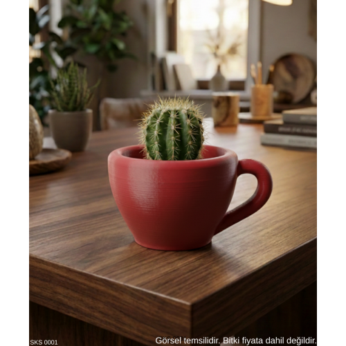 Kırmızı Mini Dekoratif Fincan Şeklinde Saksı – 6 Cm Masaüstü & Ofis Dekoru