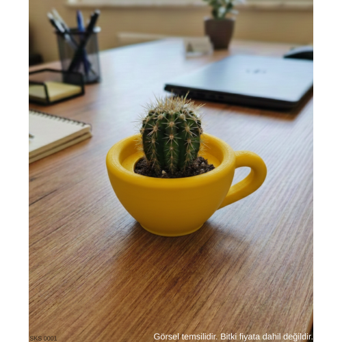 Sarı Mini Dekoratif Fincan Şeklinde Saksı – 6 Cm Masaüstü & Ofis Dekoru