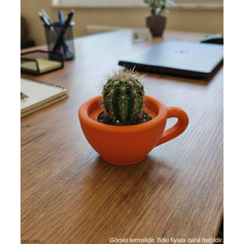 Turuncu Mini Dekoratif Fincan Şeklinde Saksı – 6 Cm Masaüstü & Ofis Dekoru