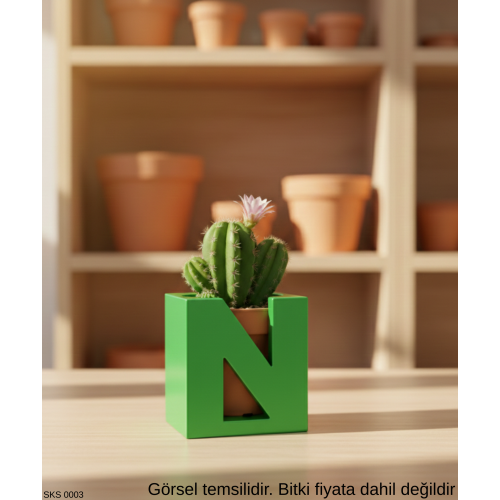Yeşil Harf Şeklinde Mini Dekoratif Saksı  Kişiye Özel Baş Harf Tasarım Masaüstü Ofis Dekoru